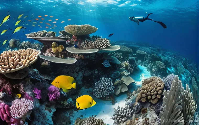 몰디브 주요 관광지 - **Maldives Sunset Beach Romance (15+ Age-Appropriate)**
    A breathtaking, photo-realistic image of...