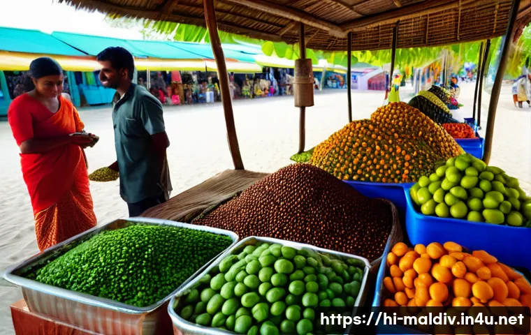 몰디브 화폐 정보 관련 이미지 1